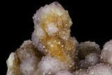 Cactus Quartz (Amethyst) Cluster - South Africa #115127-2
